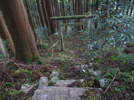 20181009hike (264)